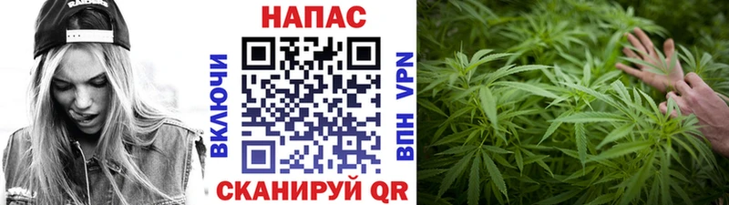 Конопля планчик  Усмань 